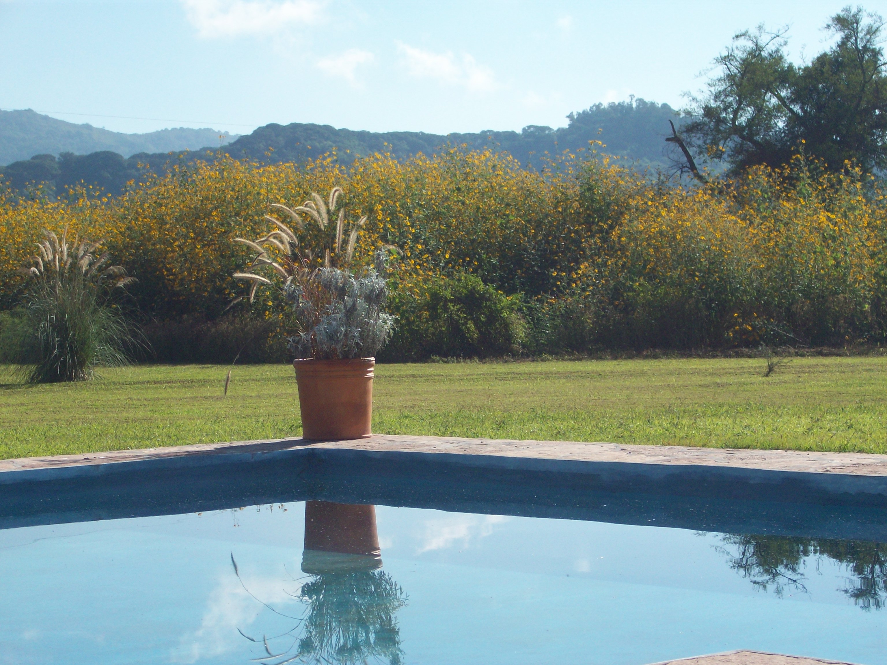 Pileta exterior con vista a la vegetación y cerros de Salta