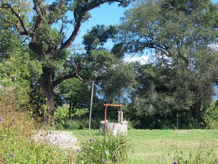 Aljibe tradicional en el jardín de Finca La Vertiente - Salta Argentina